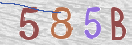 Code Anti-spam